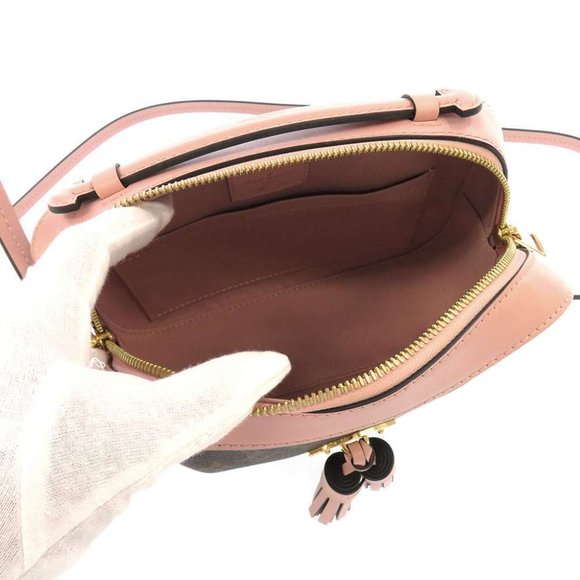 Saintonge Monogram Pink Ballerine Shoulder Bag - Picture 6 of 12